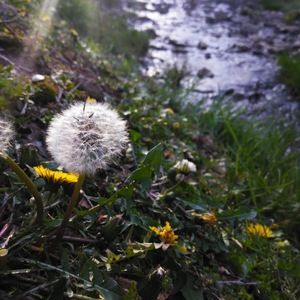 Meet your Posher, Miss